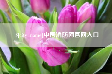 利津中国消防网官网入口