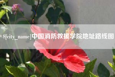 利津中国消防救援学院地址路线图