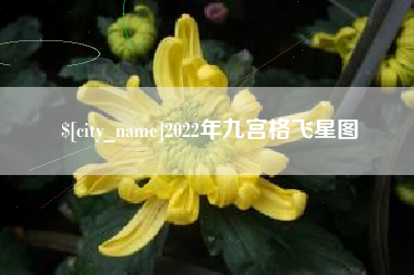 利津2022年九宫格飞星图