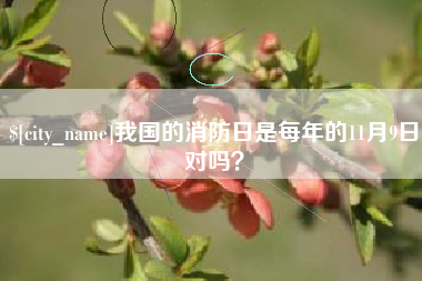 利津我国的消防日是每年的11月9日对吗？
