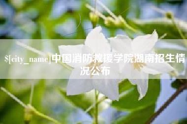 利津中国消防救援学院湖南招生情况公布