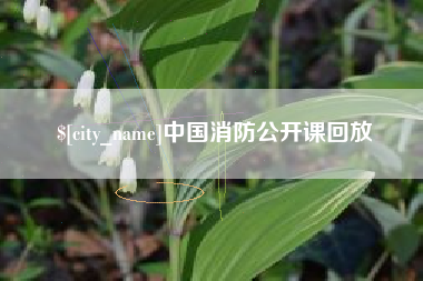 利津中国消防公开课回放