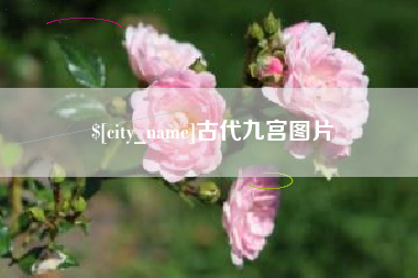 利津古代九宫图片