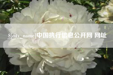 利津中国执行信息公开网 网址