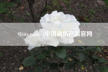利津中国消防产品官网