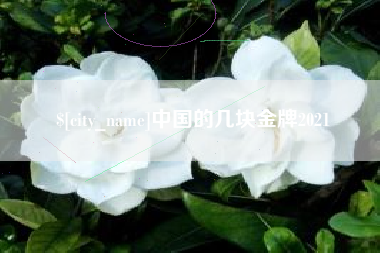利津中国的几块金牌2021