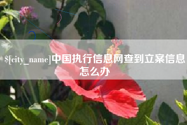 利津中国执行信息网查到立案信息怎么办
