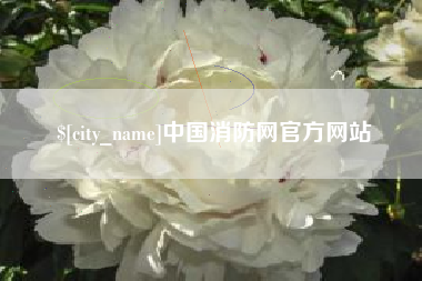 利津中国消防网官方网站