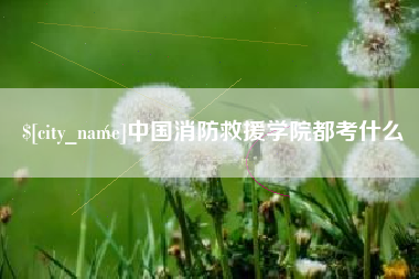 利津中国消防救援学院都考什么