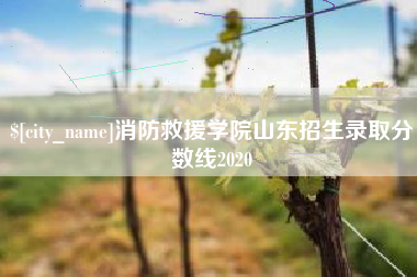 利津消防救援学院山东招生录取分数线2020
