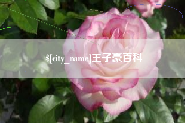 利津王子豪百科