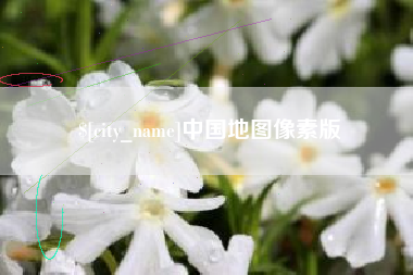 利津中国地图像素版