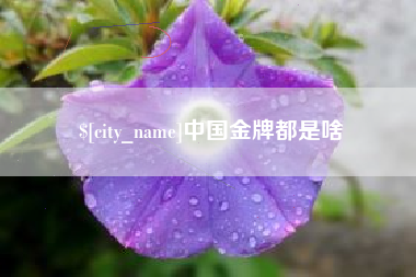 利津中国金牌都是啥