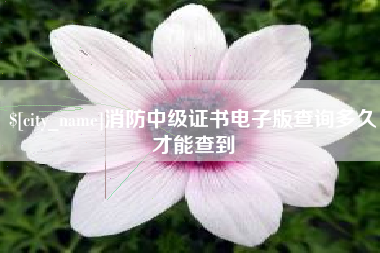 利津消防中级证书电子版查询多久才能查到