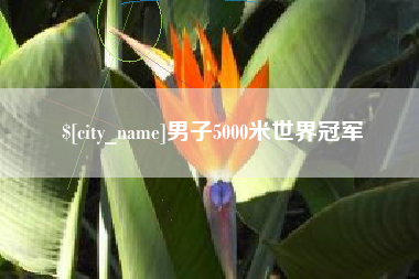 利津男子5000米世界冠军