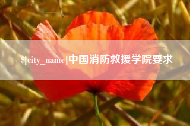 利津中国消防救援学院要求
