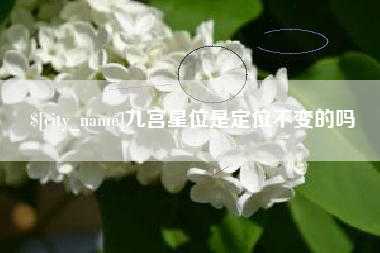利津九宫星位是定位不变的吗