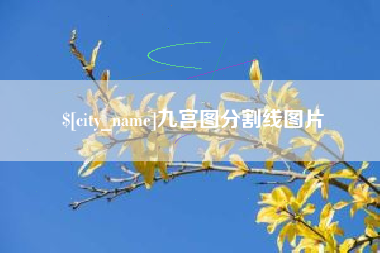 利津九宫图分割线图片