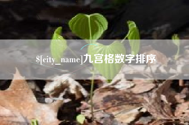 利津九宫格数字排序