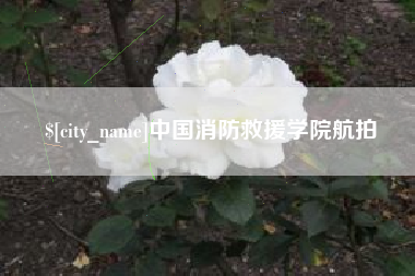 利津中国消防救援学院航拍