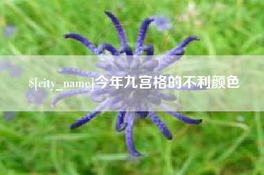 利津今年九宫格的不利颜色