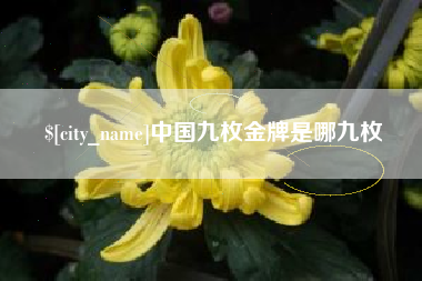 利津中国九枚金牌是哪九枚