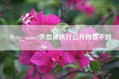利津失信被执行公开网查不到