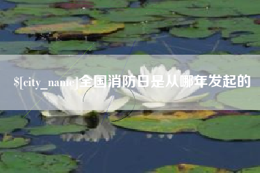利津全国消防日是从哪年发起的