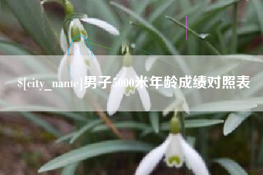 利津男子5000米年龄成绩对照表