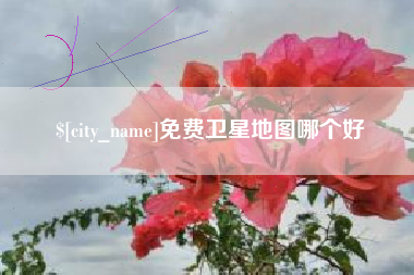利津免费卫星地图哪个好