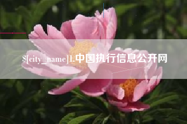 利津1.中国执行信息公开网