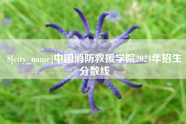 利津中国消防救援学院2024年招生分数线