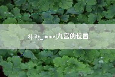 利津九宫的位置