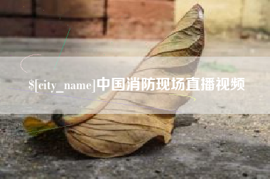 利津中国消防现场直播视频