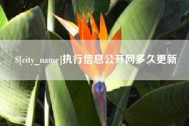 利津执行信息公开网多久更新