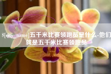 利津五千米比赛领跑员是什么-他们就是五千米比赛领跑员