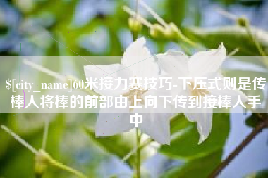 利津60米接力赛技巧-下压式则是传棒人将棒的前部由上向下传到接棒人手中