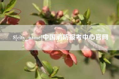 利津中国消防报考中心官网