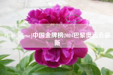 利津中国金牌榜2024巴黎奥运会最新