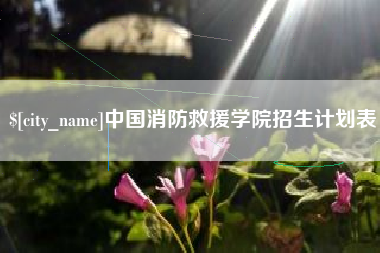 利津中国消防救援学院招生计划表
