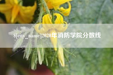 利津2020年消防学院分数线