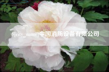 利津中国消防设备有限公司