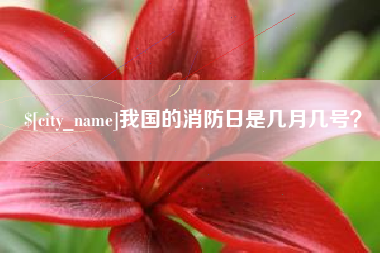 利津我国的消防日是几月几号？