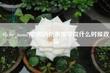 利津中国消防救援学院什么时候政审