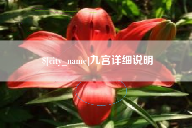 利津九宫详细说明