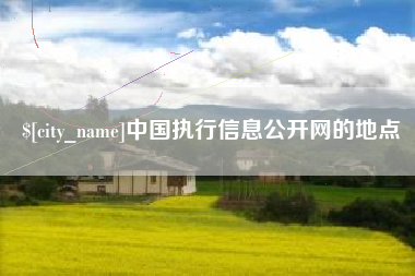 利津中国执行信息公开网的地点