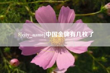 利津中国金牌有几枚了
