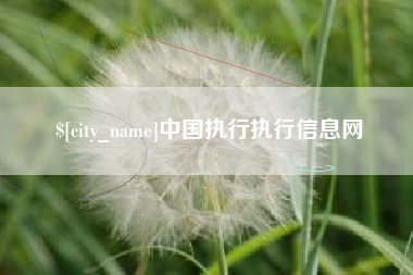 利津中国执行执行信息网