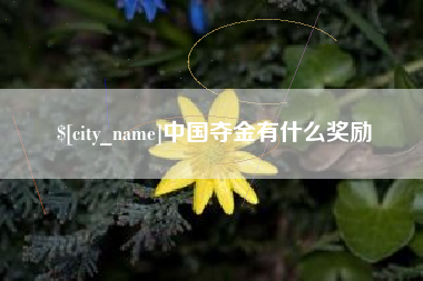 利津中国夺金有什么奖励
