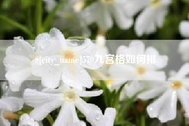 利津579九宫格如何排